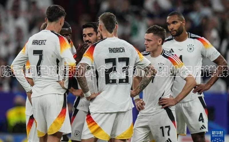 欧陆在线登录华策影视陈立明足球运动员个人简介及职业经历详解