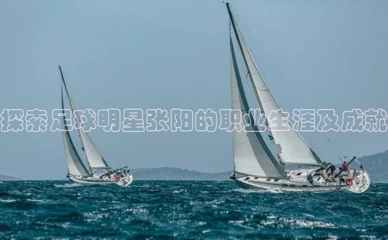 欧陆娱乐注册代理皮阿诺探索足球明星张阳的职业生涯及成就