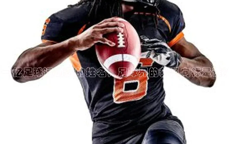 欧陆注册登录入口2024赛富乐斯一亿足球运动员的姓名，足球界的新风向标是谁？