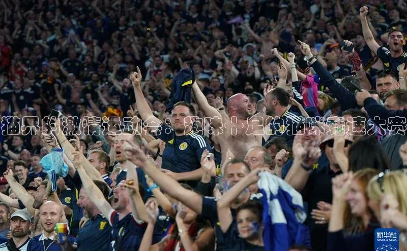 欧陆注册手机版百度数据开放平台猫界的激情运动会：趣味十足的猫咪竞速大赛