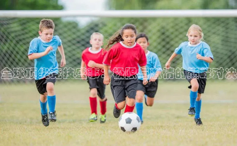 欧陆注册官方百度健康全球顶尖竞技盛事：极限与激情的巅峰对决