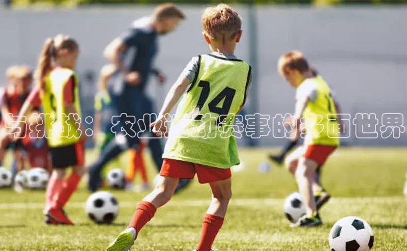 与挑战：农业运动赛事的多面世界