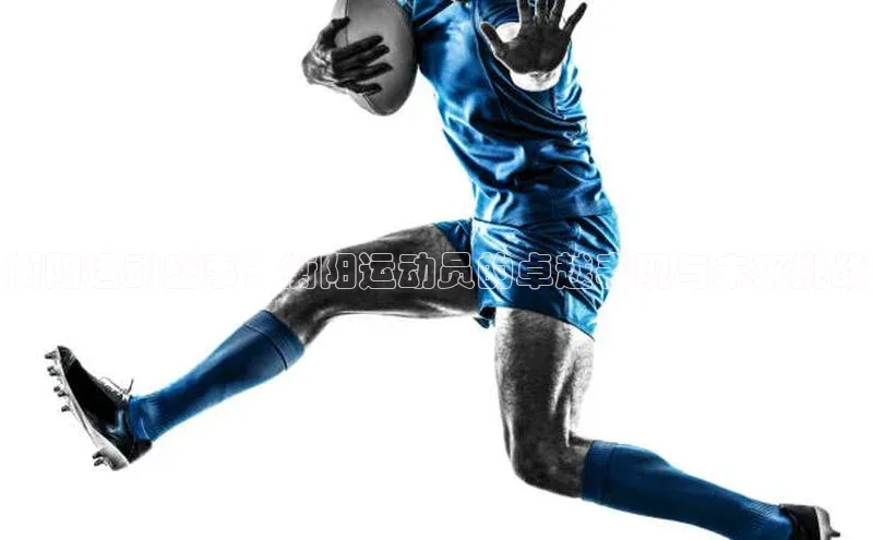 衡阳运动盛事：衡阳运动员的卓越表现与未来挑战