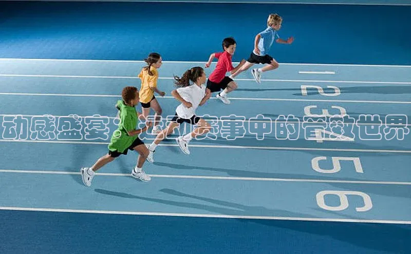 动感盛宴：运动赛事中的音效世界