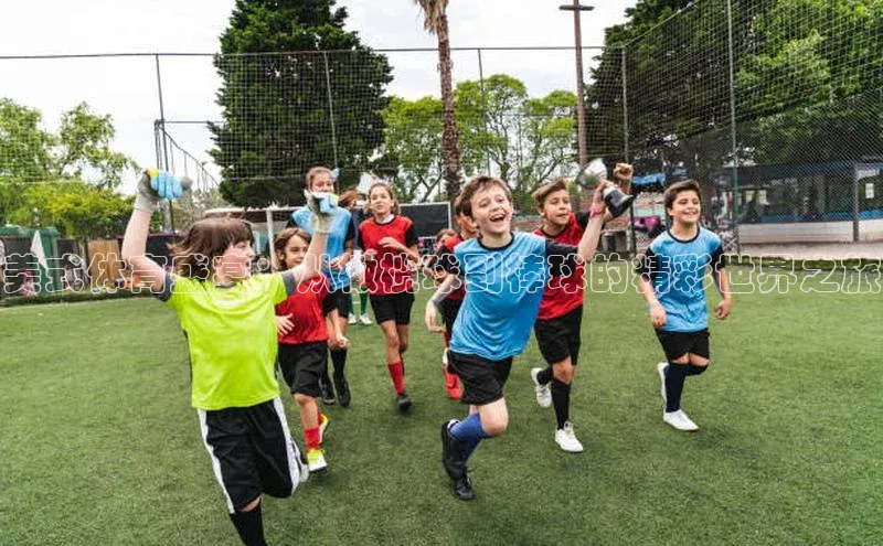 美式体育盛宴：从橄榄球到棒球的精彩世界之旅