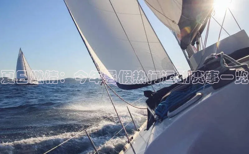 夏日燃情：今年暑假热门运动赛事一览