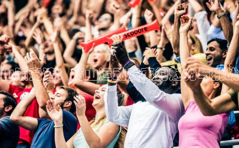 山巅竞速：高山运动赛事的魅力与挑战