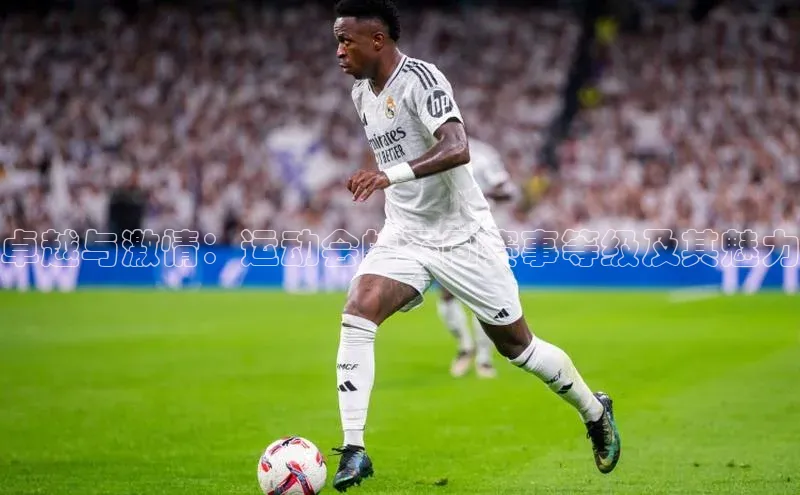 卓越与激情：运动会的不同赛事等级及其魅力