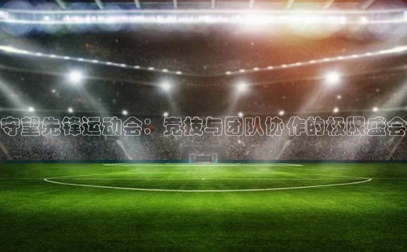 守望先锋运动会：竞技与团队协作的极限盛会