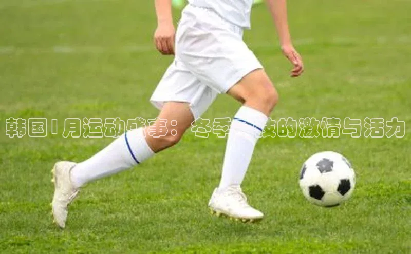 韩国1月运动盛事：冬季竞技的激情与活力