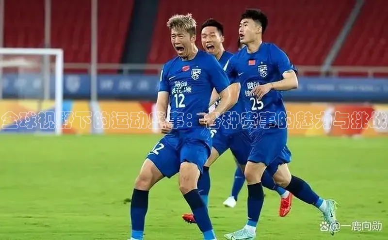 全球视野下的运动盛事：各种赛事的魅力与挑战