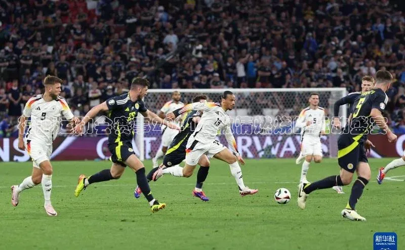 福州运动会赛事2024：激情燃烧的运动盛宴