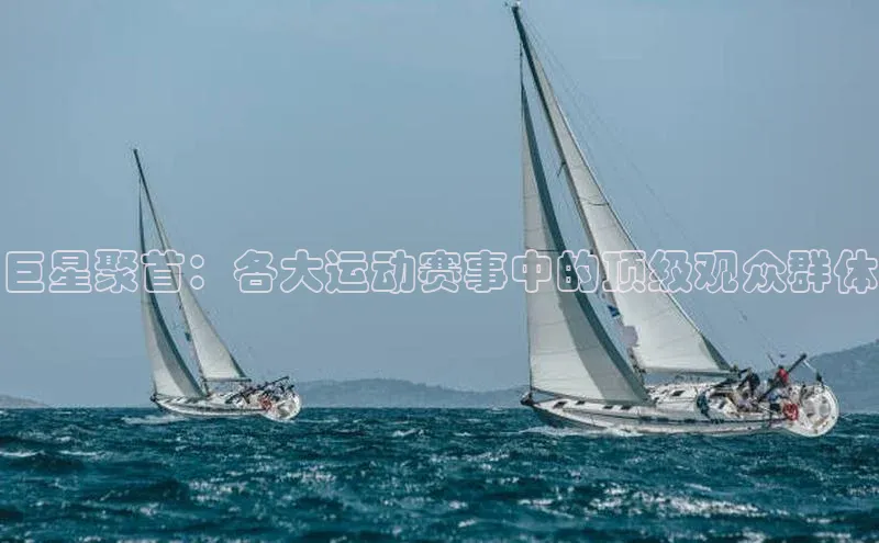 巨星聚首：各大运动赛事中的顶级观众群体