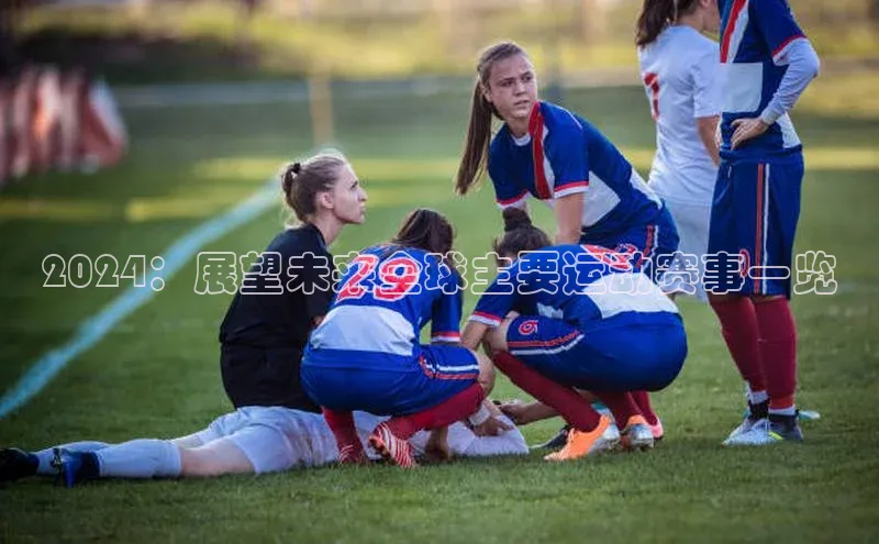 2024：展望未来全球主要运动赛事一览