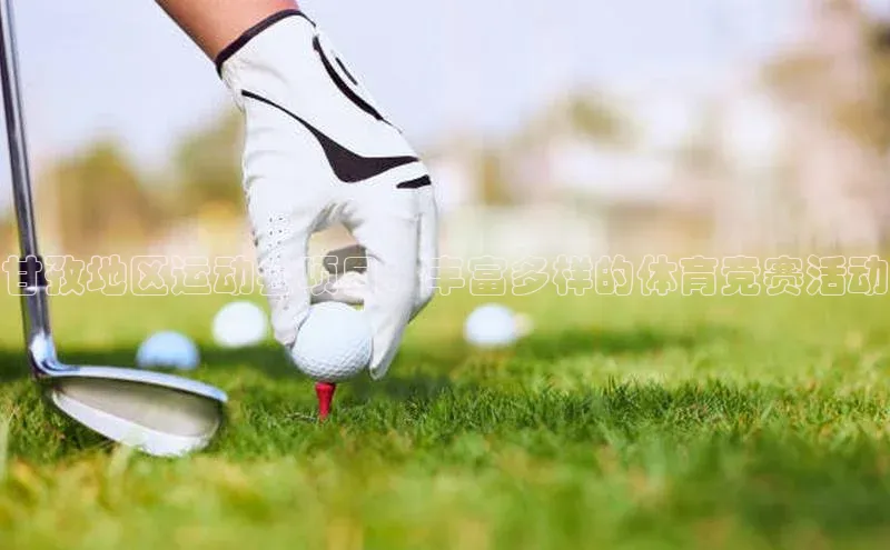 甘孜地区运动会项目：丰富多样的体育竞赛活动